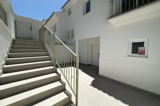 Image 4 thumb