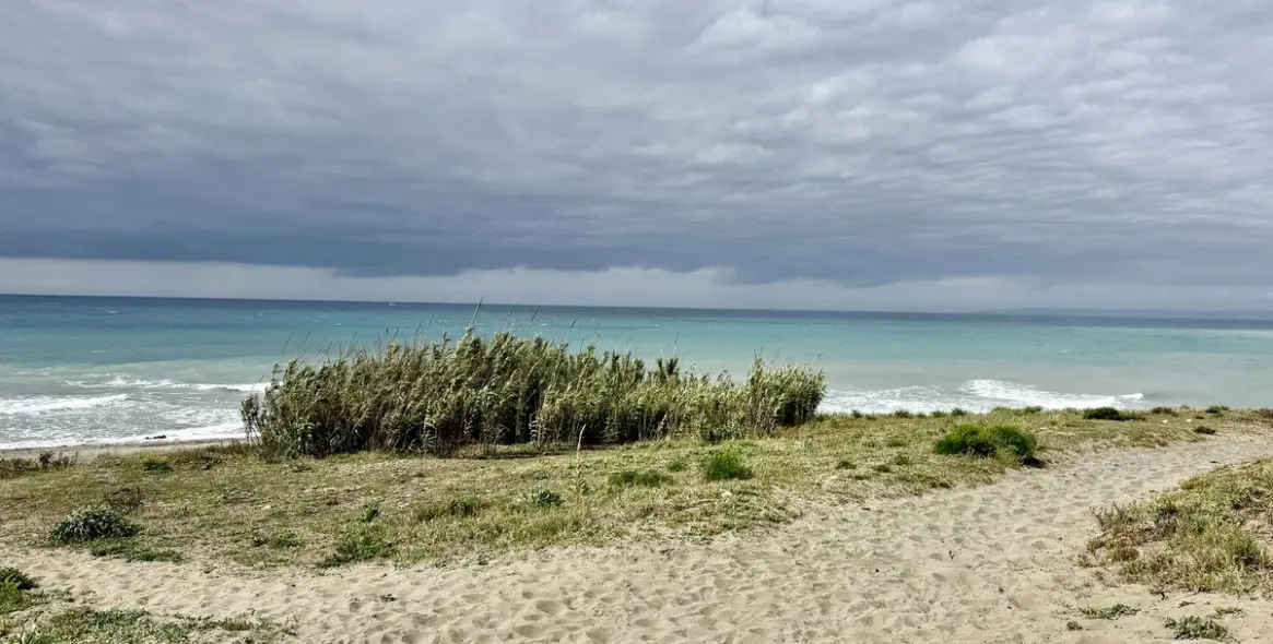 Sale of detached villa in Cancelada 42