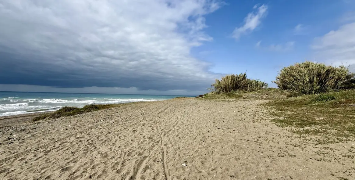 Sale of detached villa in Cancelada 44