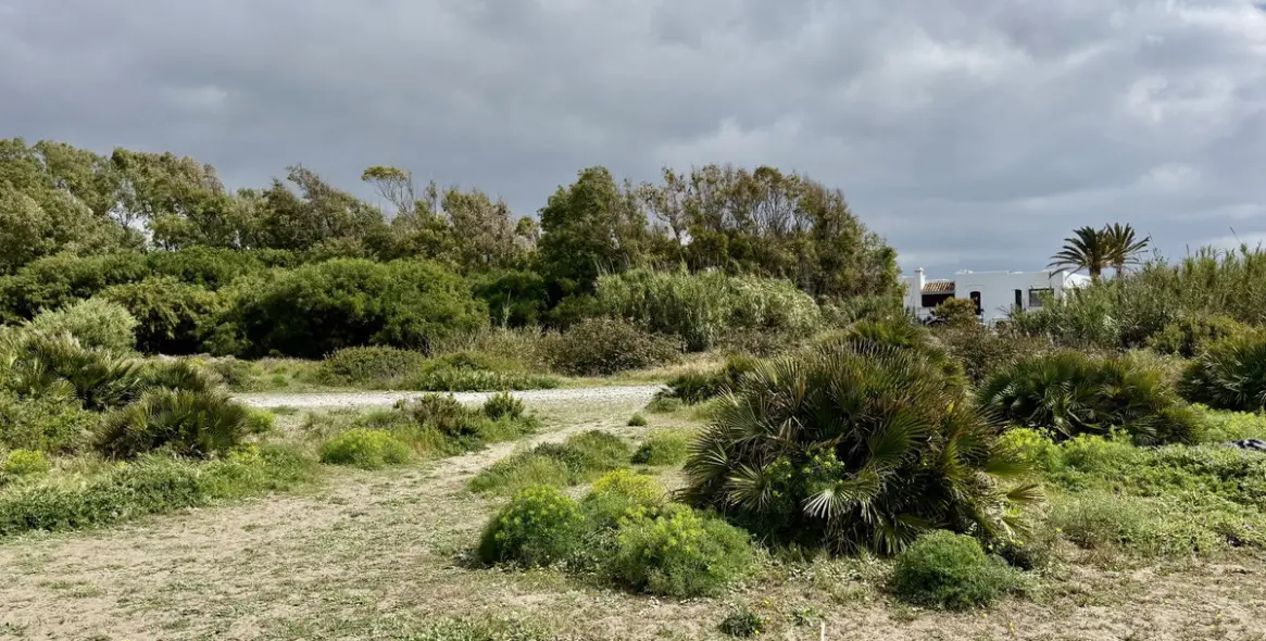 Sale of detached villa in Cancelada 46