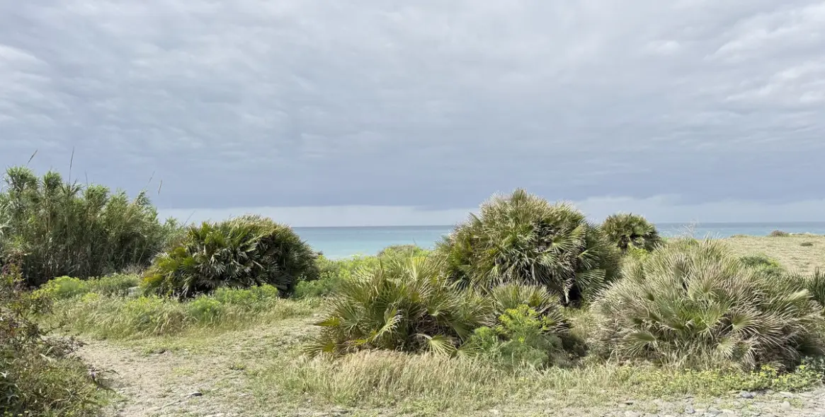 Sale of detached villa in Cancelada 47