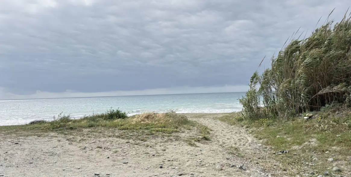 Sale of detached villa in Cancelada 49