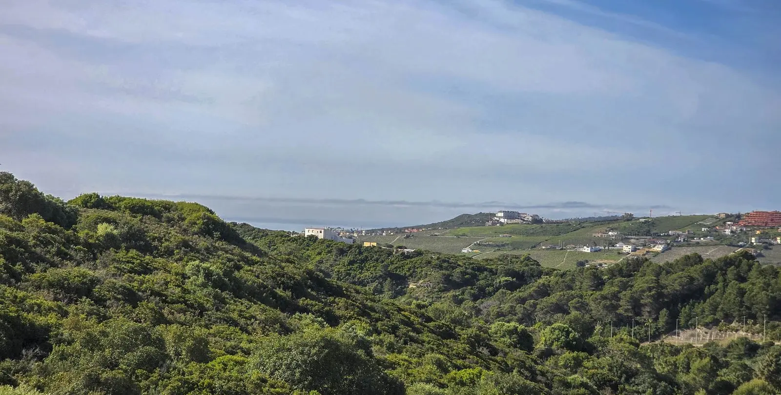 Sale of semi-detached house in Casares Playa 18