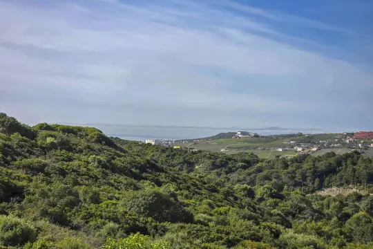 Image 18 thumb