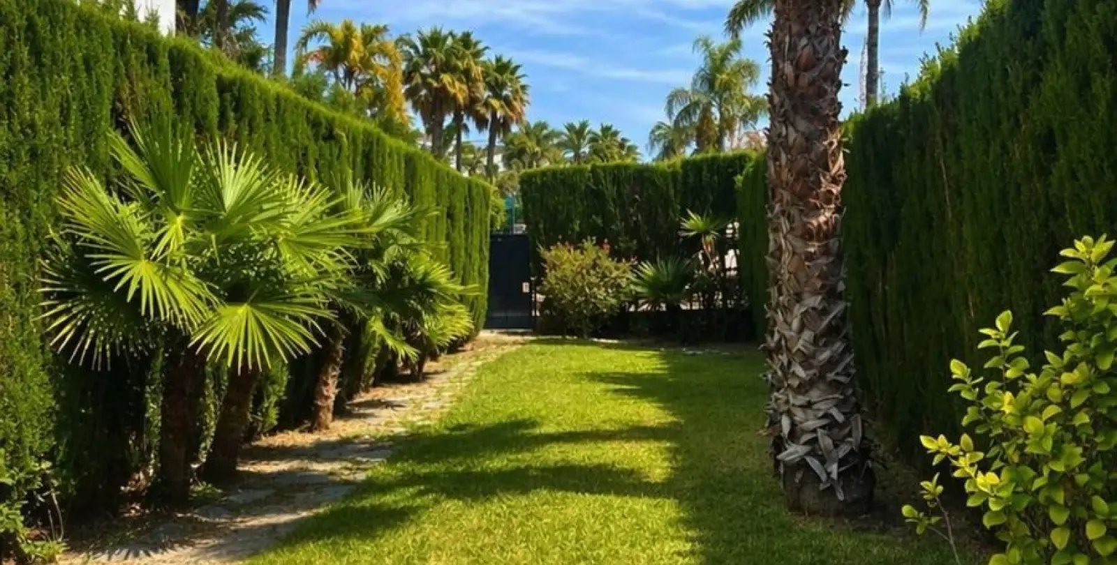 Продажа апартаментов на первом этаже в Nueva Andalucía 14