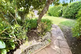 Image 17 thumb