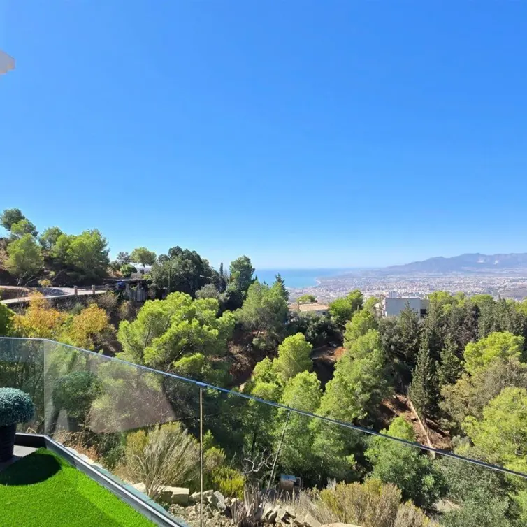 Sale of detached villa in Limonar