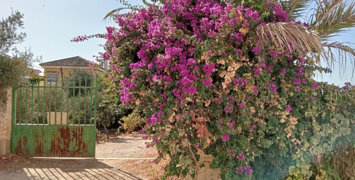 Venta de parcela residencial en Estación de Campanillas 3