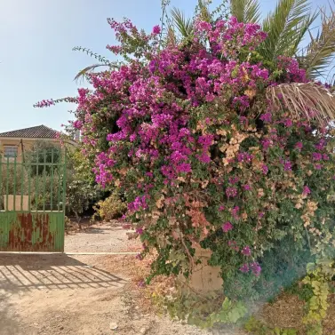 Venta de parcela residencial en Estación de Campanillas