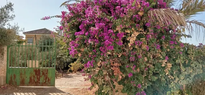 Venta de parcela residencial en Estación de Campanillas 2