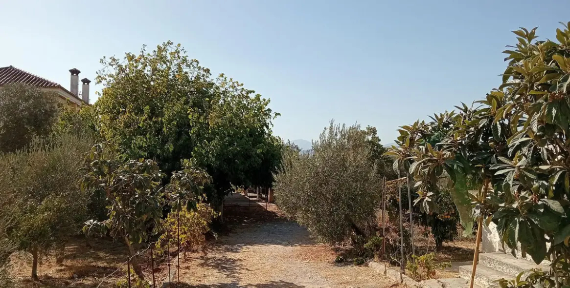 Venta de parcela residencial en Estación de Campanillas 4