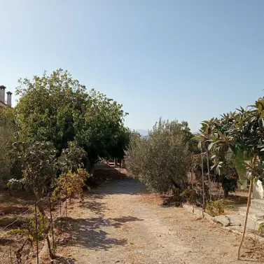 Venta de parcela residencial en Estación de Campanillas