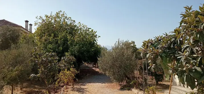 Venta de parcela residencial en Estación de Campanillas 3