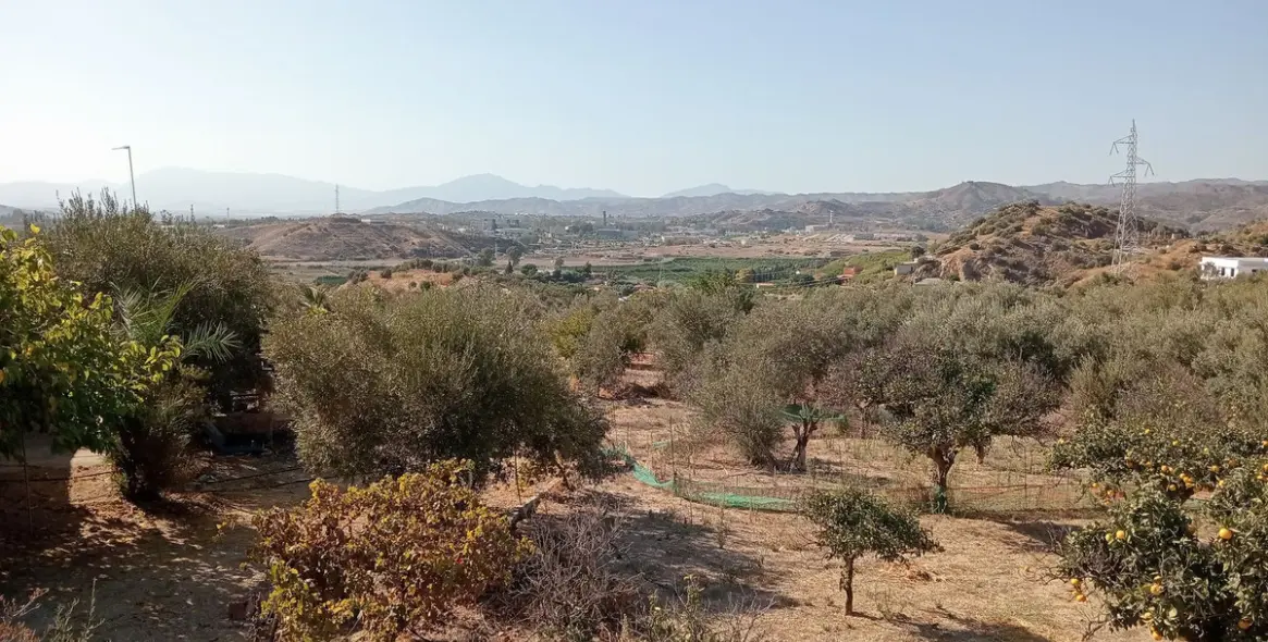 Venta de parcela residencial en Estación de Campanillas 6