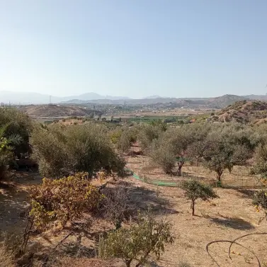 Venta de parcela residencial en Estación de Campanillas