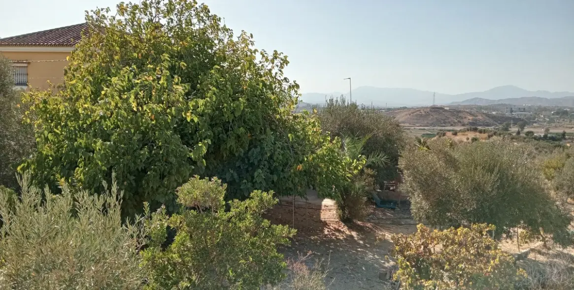 Venta de parcela residencial en Estación de Campanillas 7