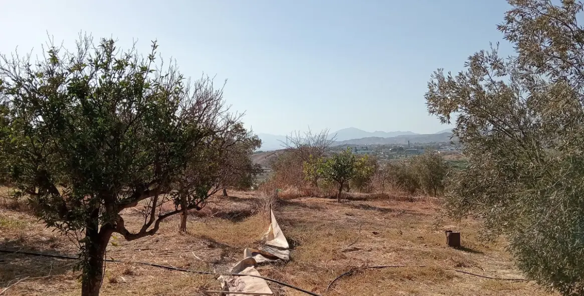 Venta de parcela residencial en Estación de Campanillas 9