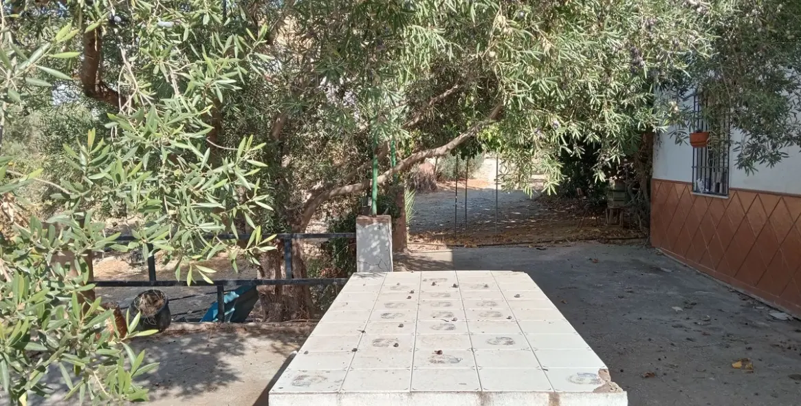 Venta de parcela residencial en Estación de Campanillas 13