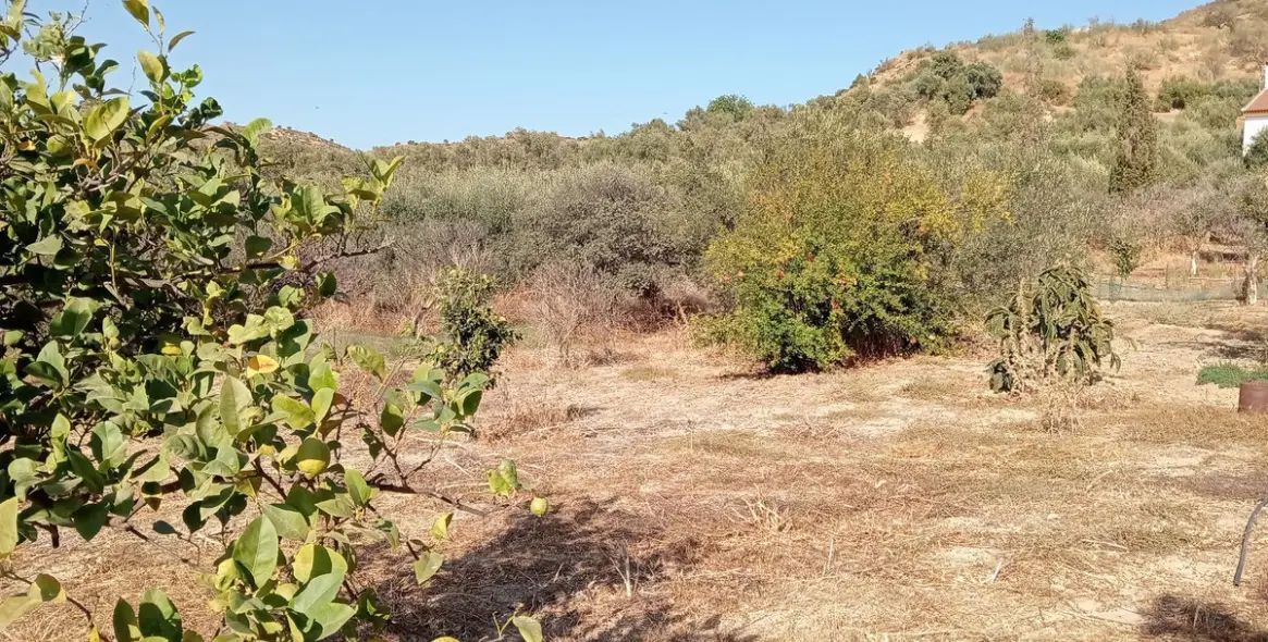 Venta de parcela residencial en Estación de Campanillas 18