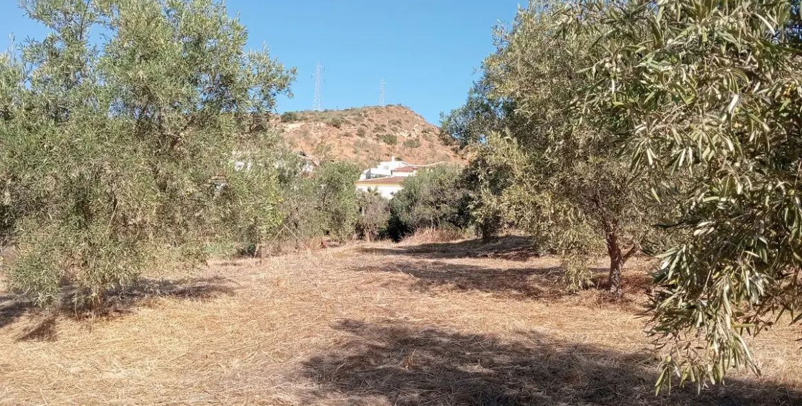 Venta de parcela residencial en Estación de Campanillas 19