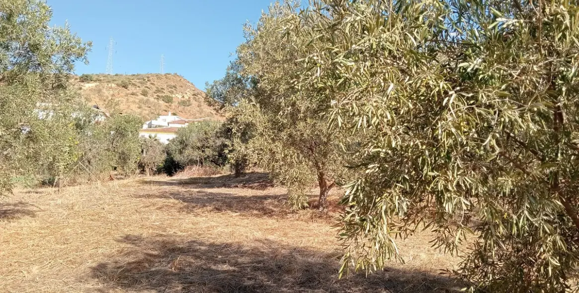 Venta de parcela residencial en Estación de Campanillas 20