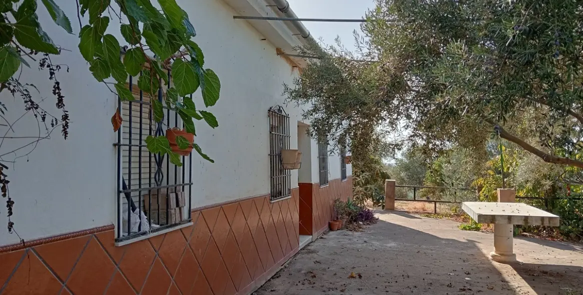 Venta de parcela residencial en Estación de Campanillas 21