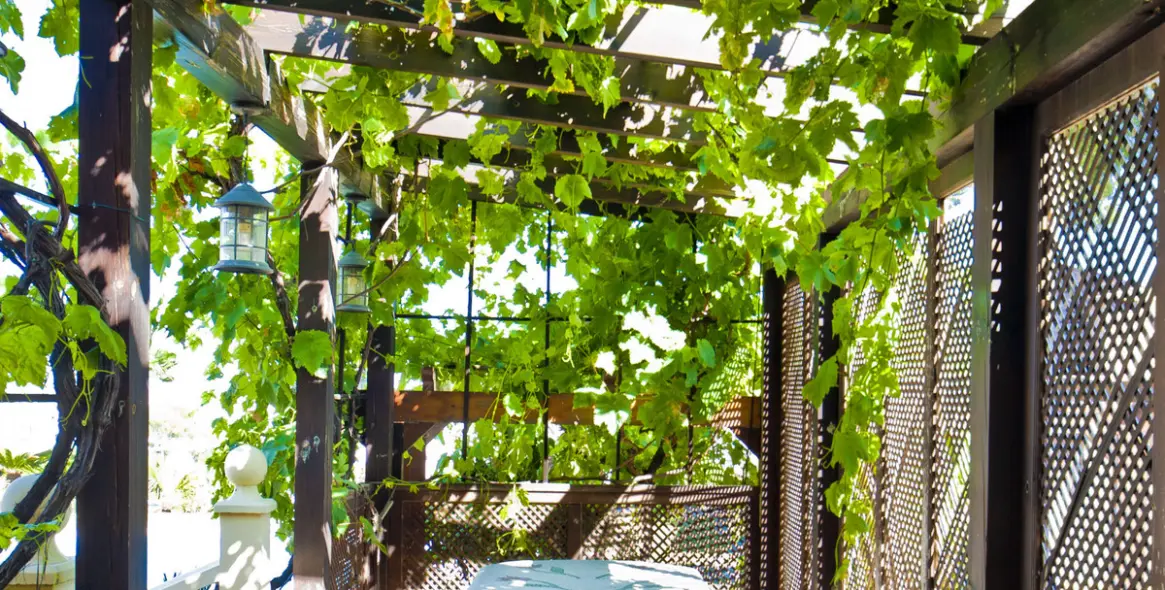 Venta de villa independiente en Nueva Andalucía 49