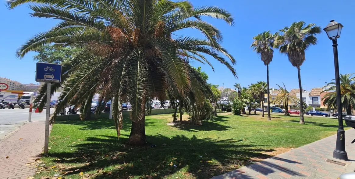 Alquiler a largo plazo de apartamento en planta baja en Fuengirola 15