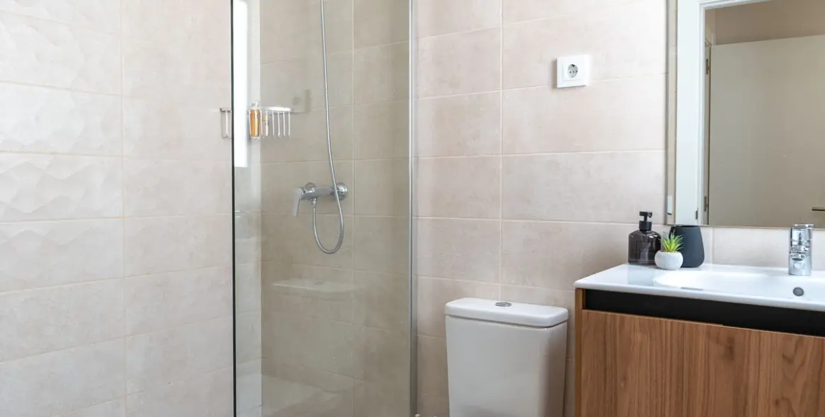 Long-term rent of penthouse in Las Lagunas 9