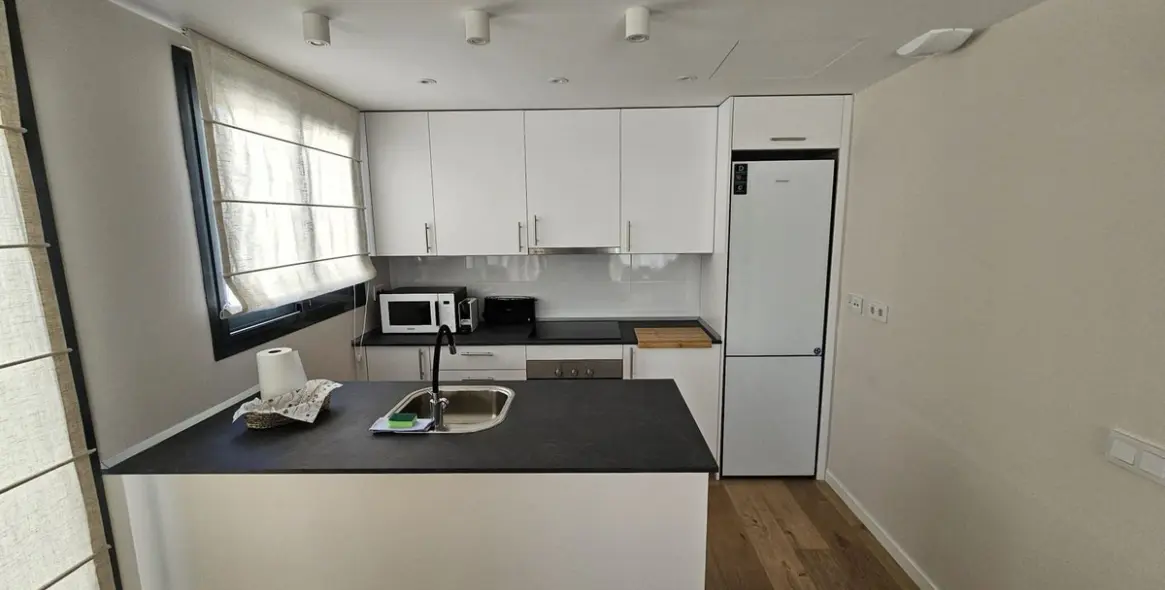 Long-term rent of penthouse in Las Lagunas 18