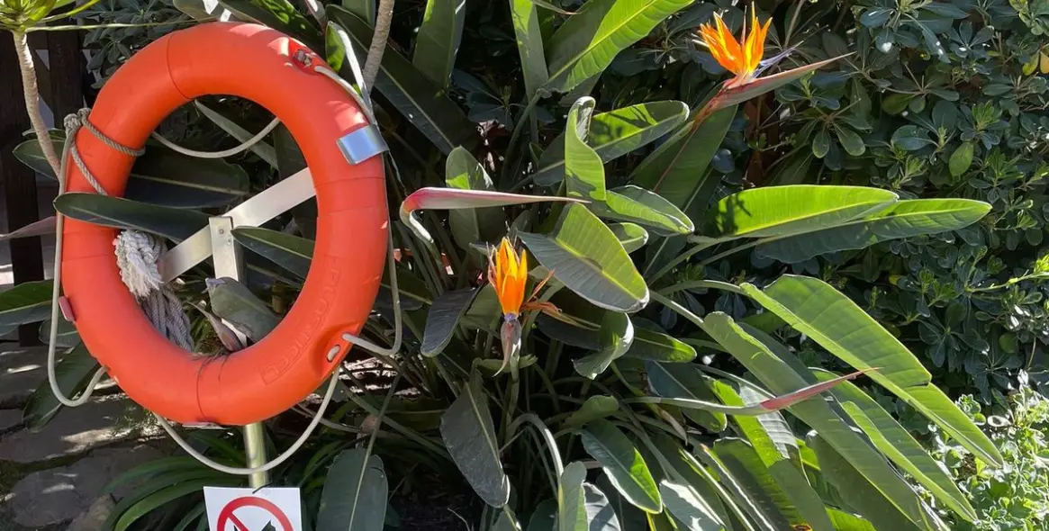 Venta de apartamento en planta media en The Golden Mile 12