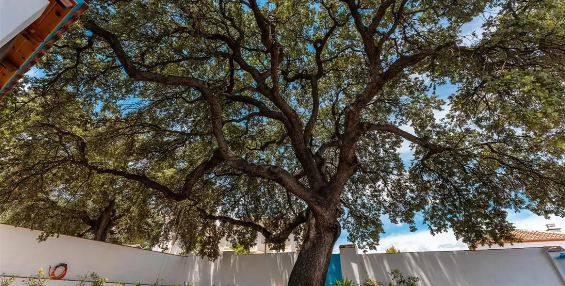 Venta de villa independiente en Alhaurin el Grande 47