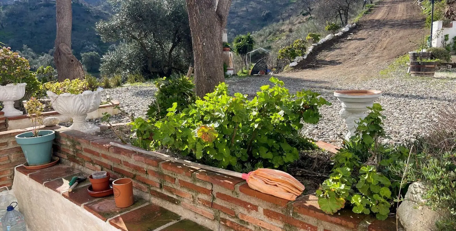 Venta de finca - cortijo en Alora 36