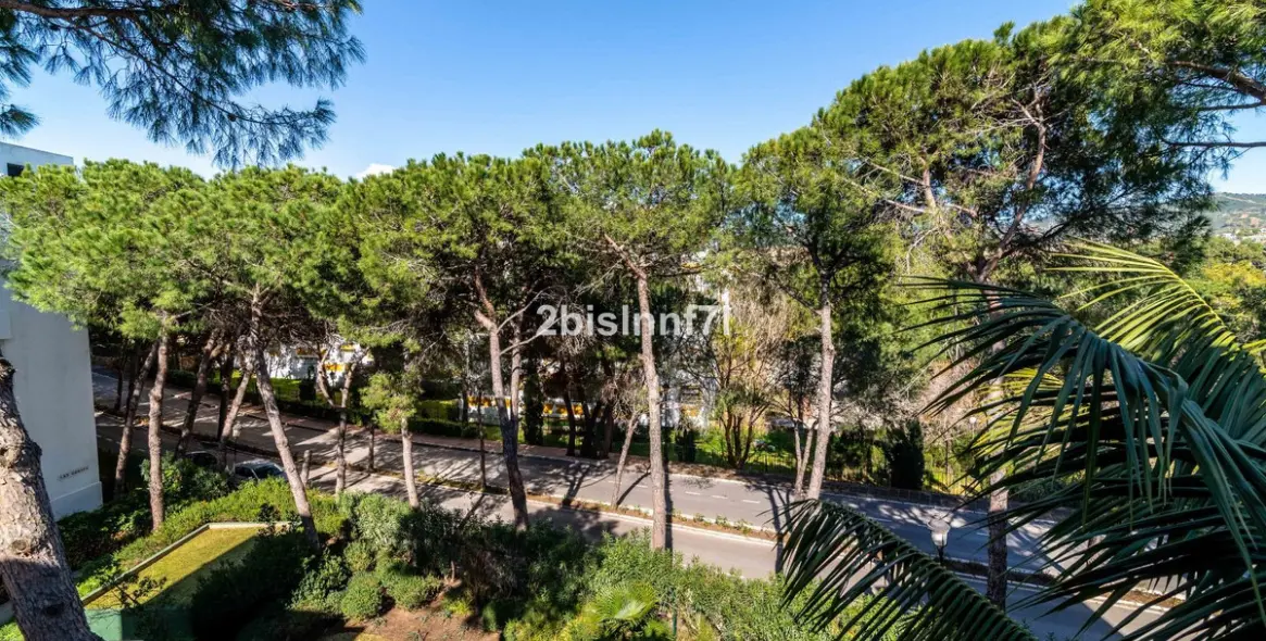Продажа пентхауса в Elviria 17