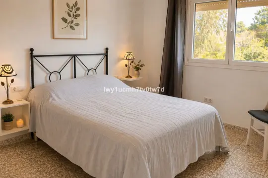 Image 12 thumb