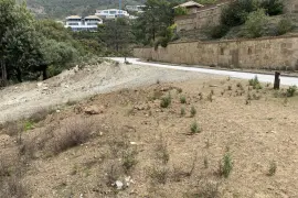 Image 4 thumb