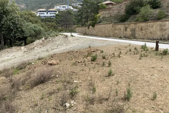Image 4 thumb