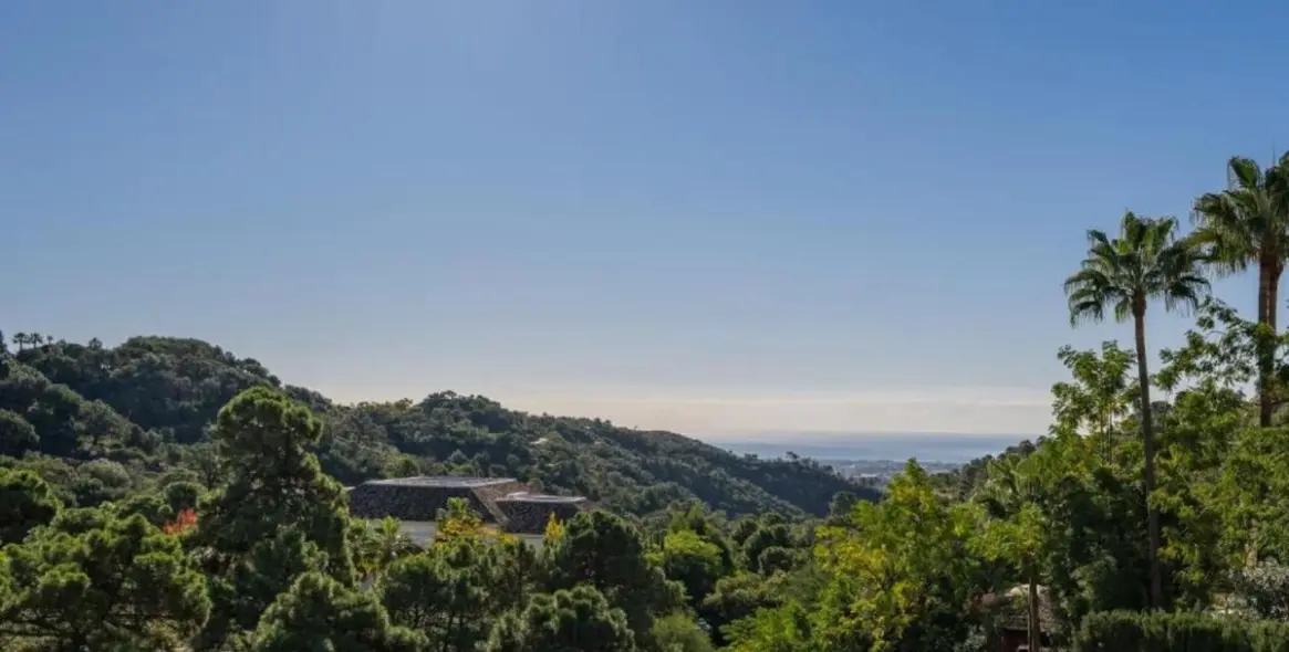 Продажа  отдельно стоящей виллы в La Zagaleta 18