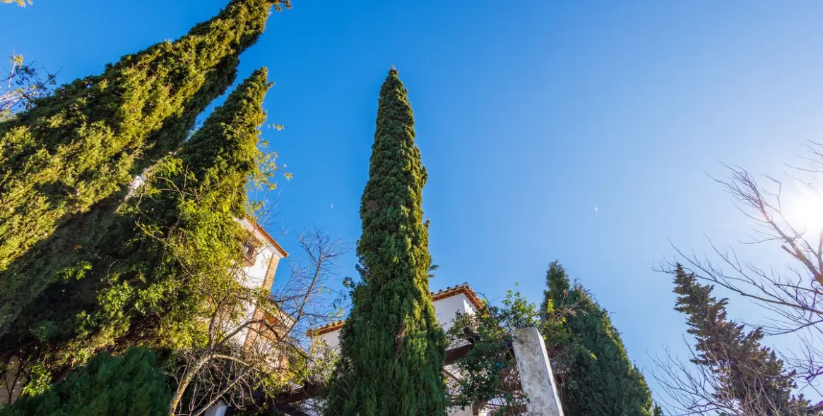 Продажа таунхауса в Comares 51