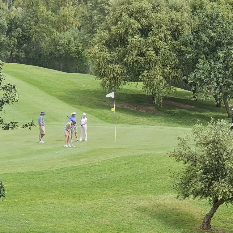 Sale of middle floor apartment in Guadalmina Alta