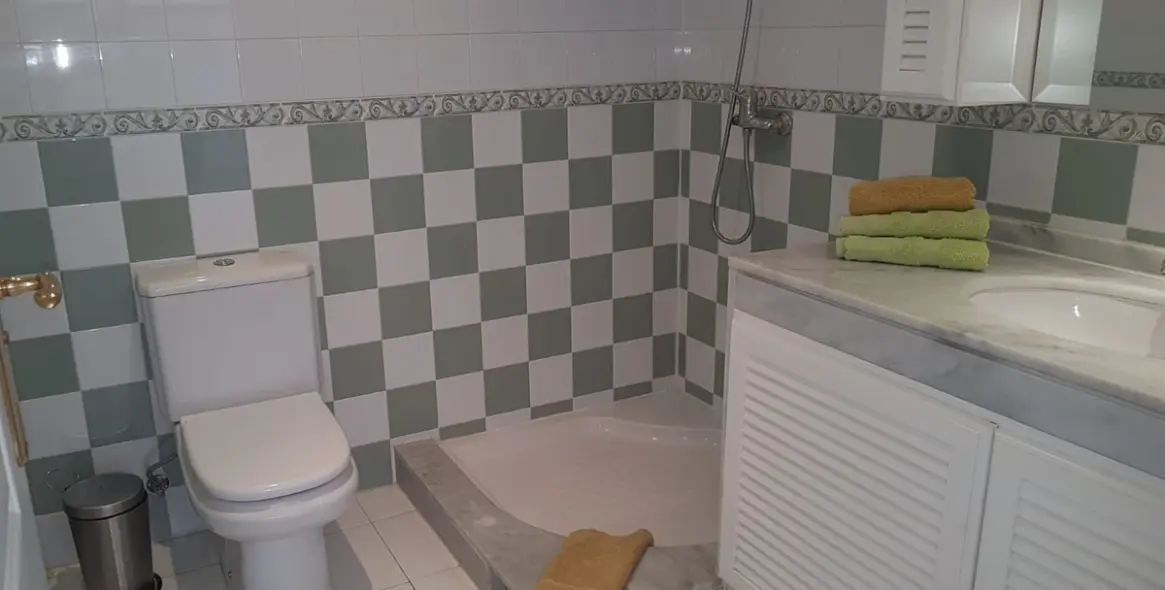 Продажа пентхауса в Miraflores 10