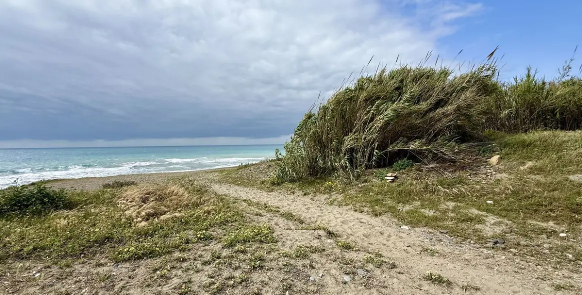 Продажа  отдельно стоящей виллы в New Golden Mile 38