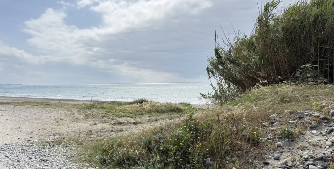 Продажа  отдельно стоящей виллы в New Golden Mile 45