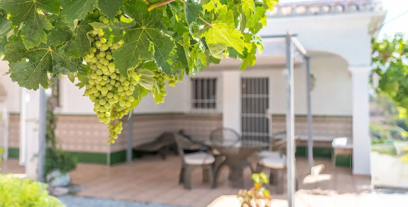 Продажа  отдельно стоящей виллы в Nerja 30