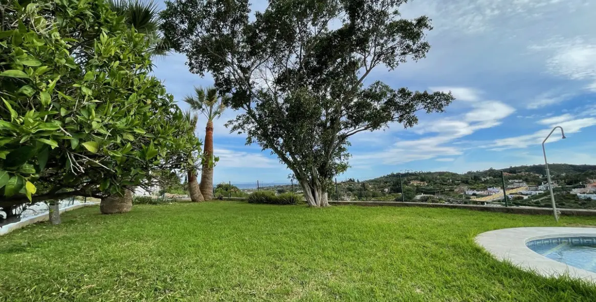 Sale of detached villa in Estepona 38