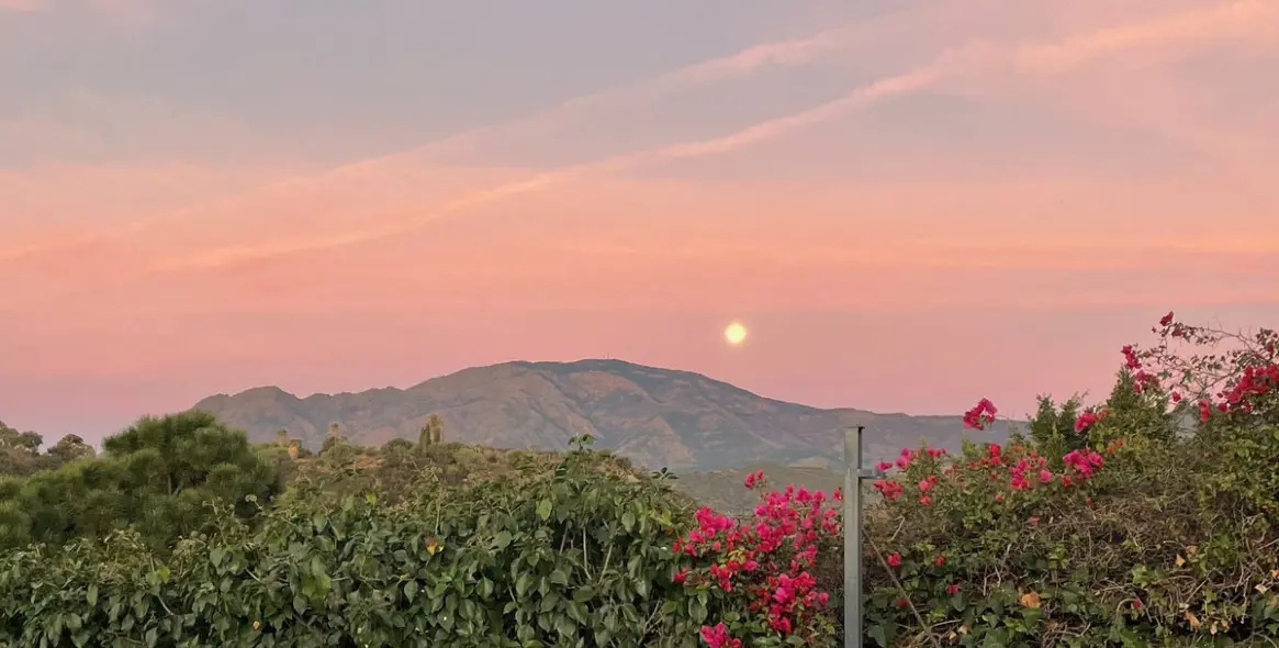 Sale of detached villa in Estepona 51