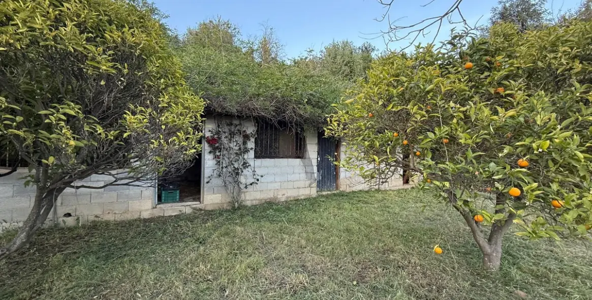 Sale of detached villa in Estepona 89