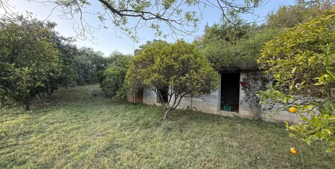 Sale of detached villa in Estepona 93