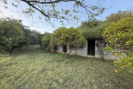 Image 93 thumb