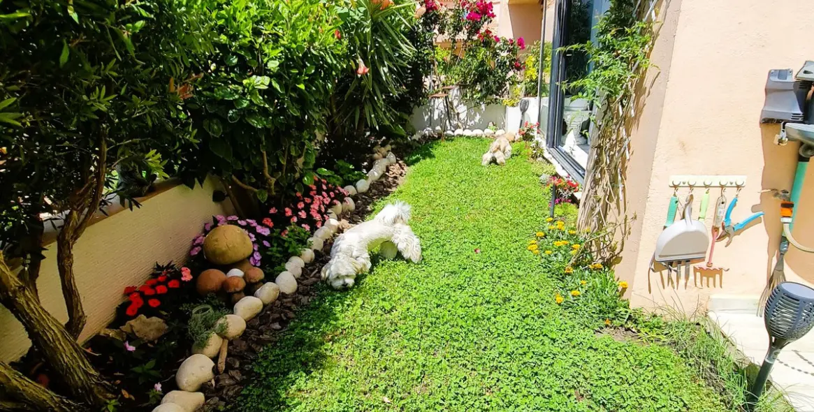 Sale of ground floor apartment in Calahonda 15